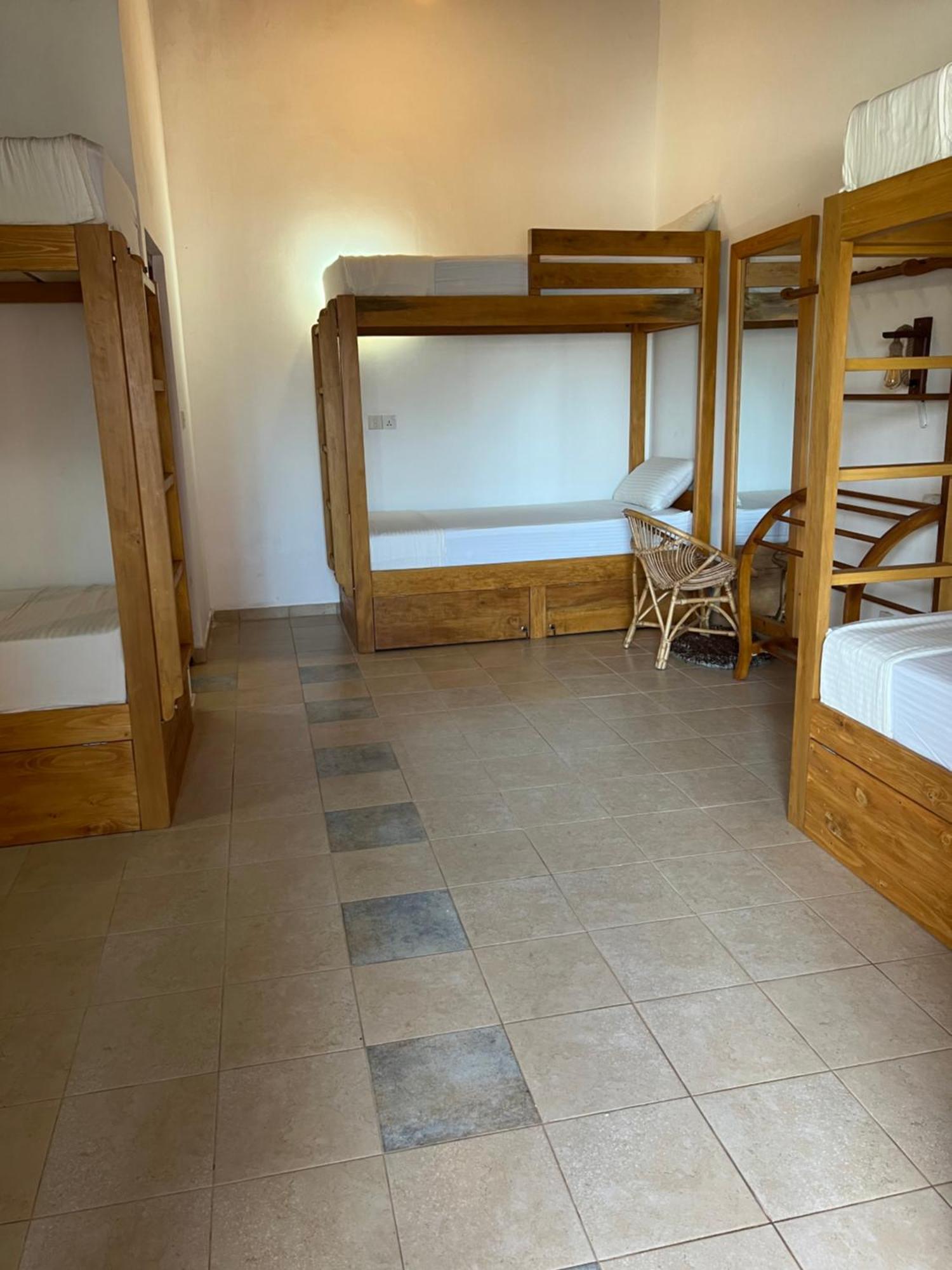 Hummus Hostel ヒッカドゥワ エクステリア 写真