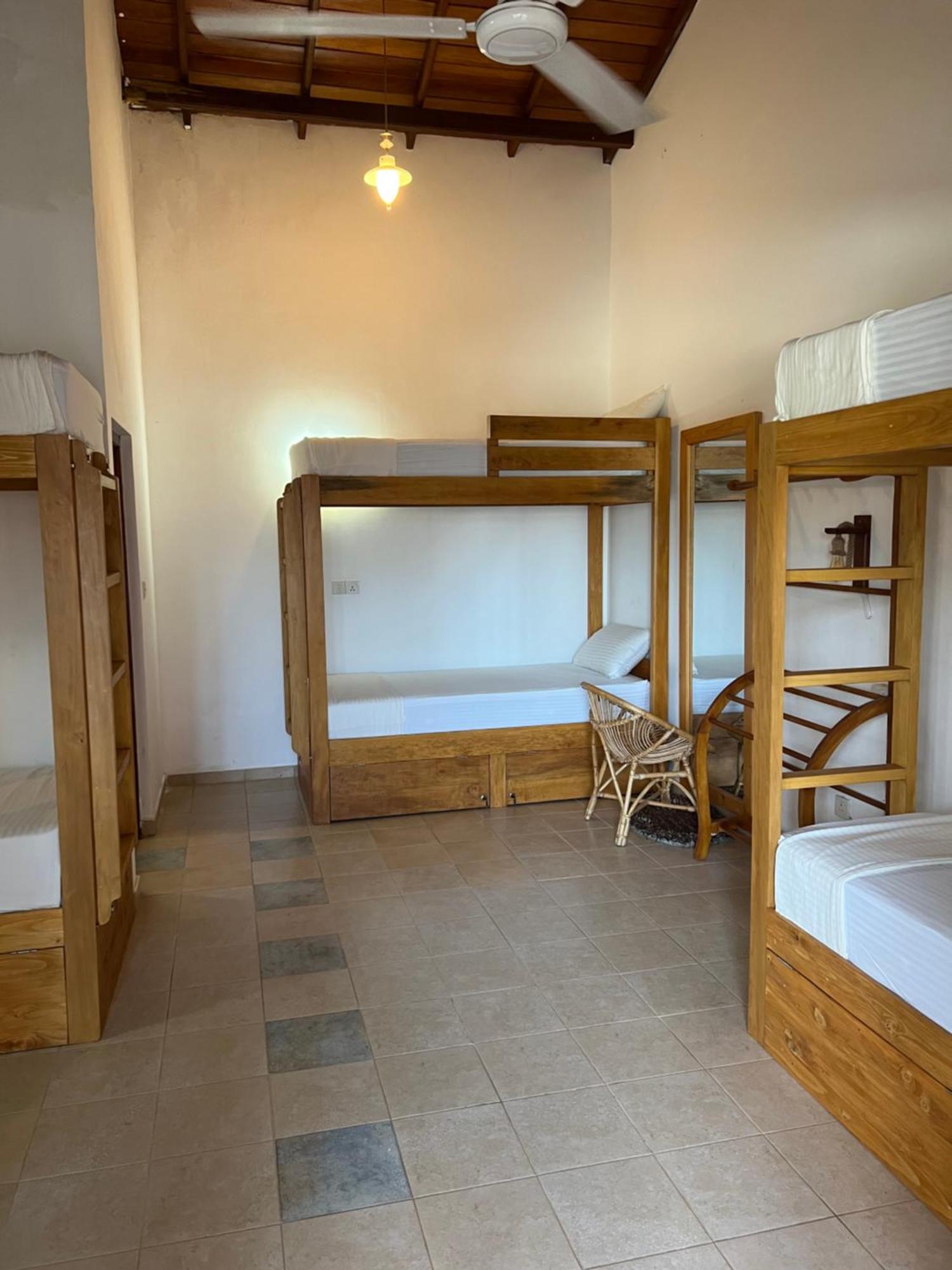 Hummus Hostel ヒッカドゥワ エクステリア 写真